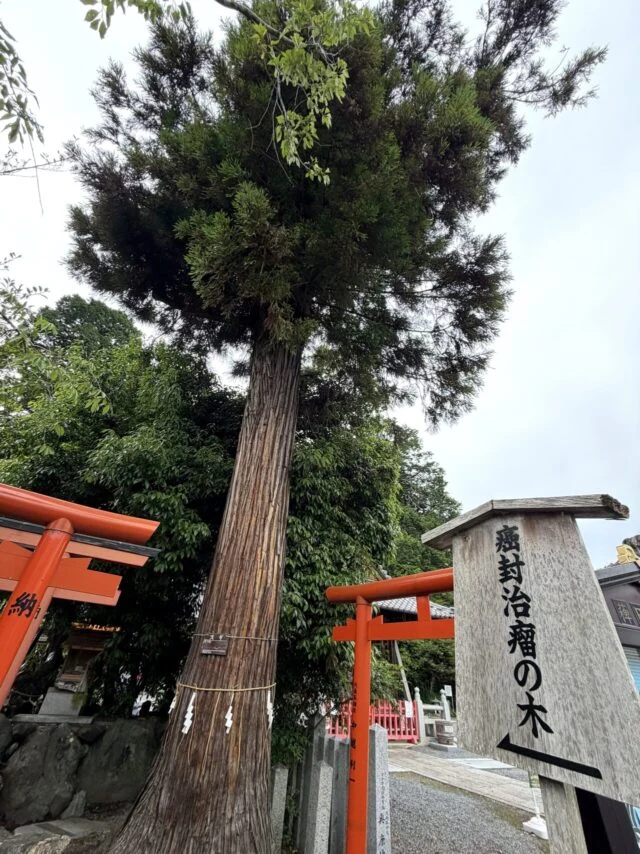 稗田野神社の外観2