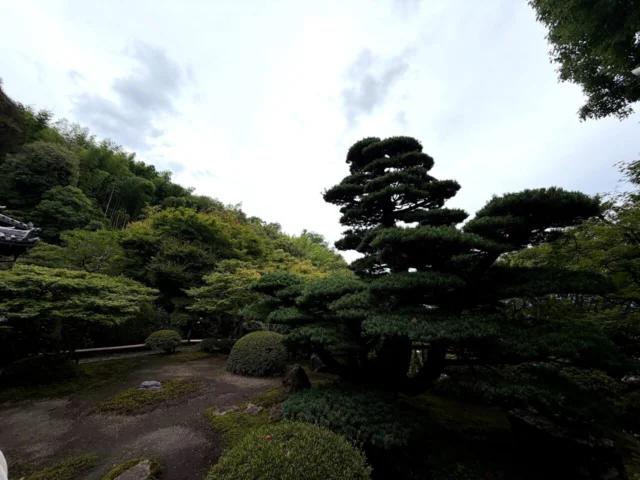 鈴虫寺の庭園と池
