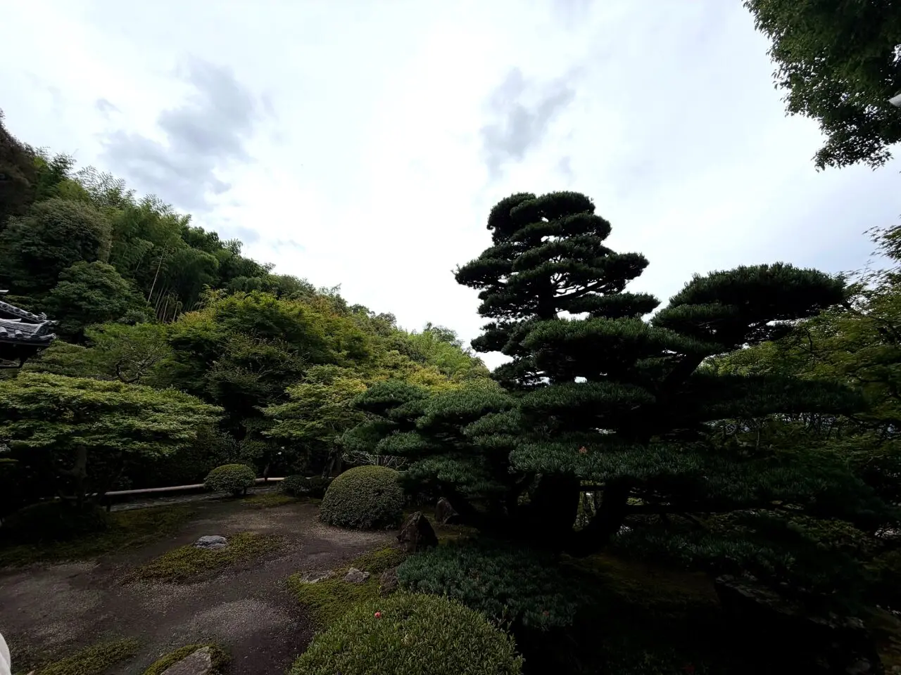 鈴虫寺の庭園と池