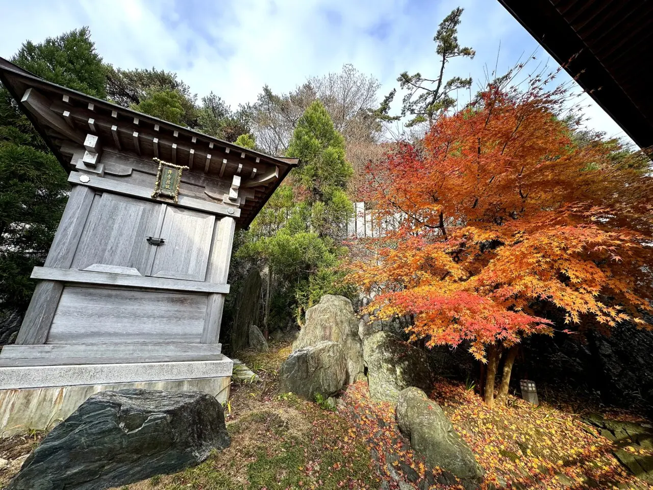 摩耶山天上寺の境内建物と紅葉