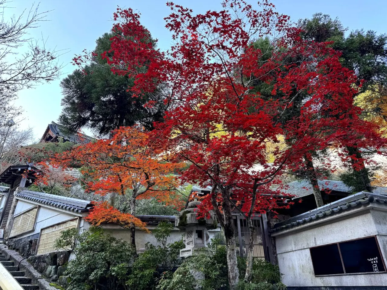 宮島 紅葉谷 紅葉谷へ向かう秋の道