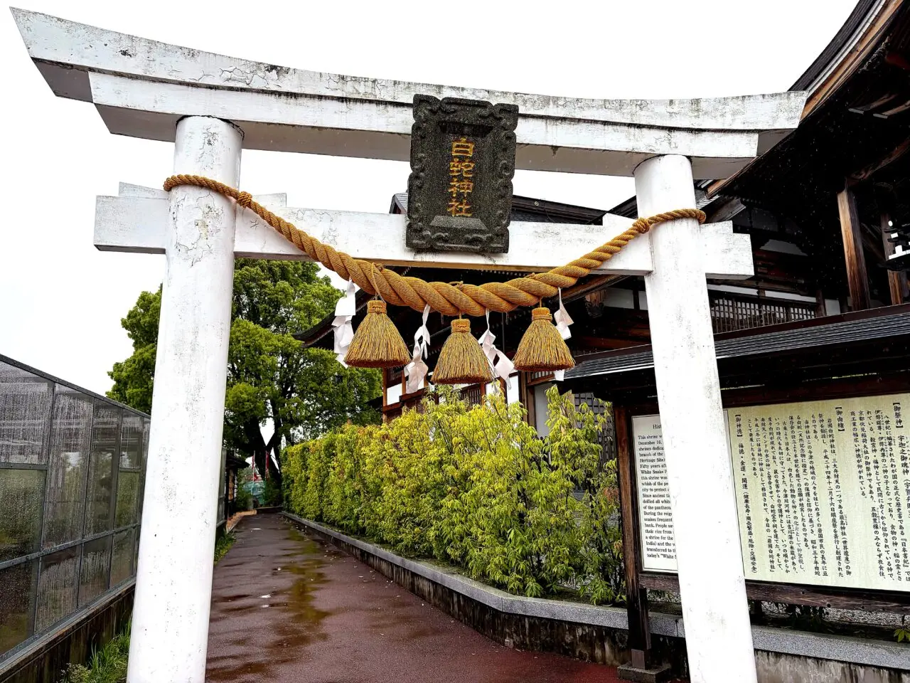 岩國白蛇神社の白い鳥居