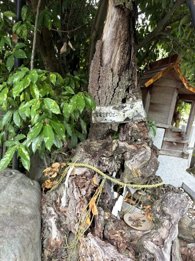 稗田野神社の外観5