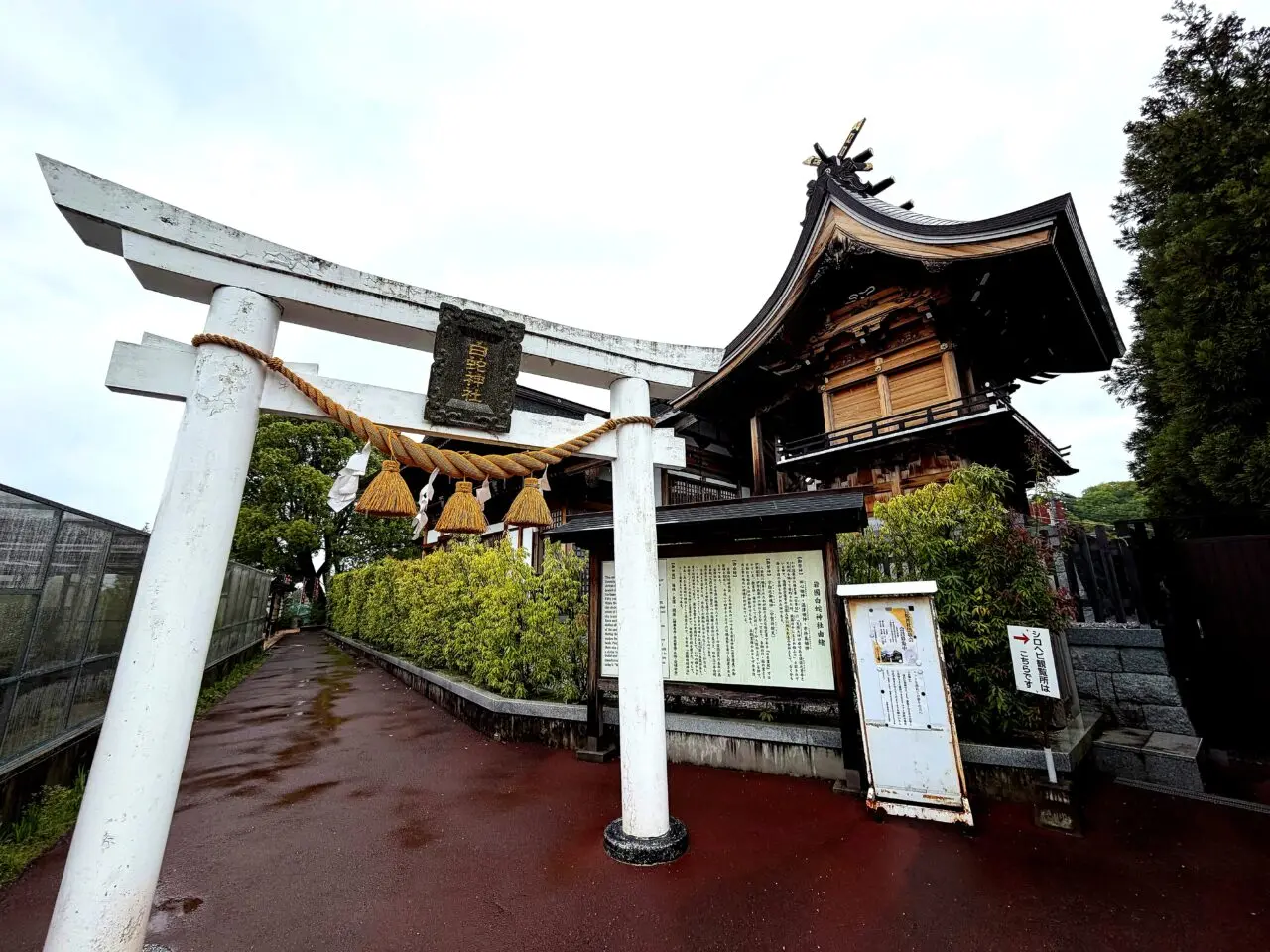 白い鳥居と岩國白蛇神社の社殿