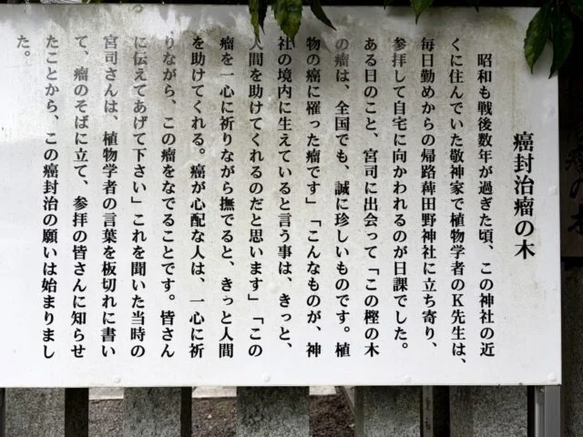 稗田野神社のメニュー2