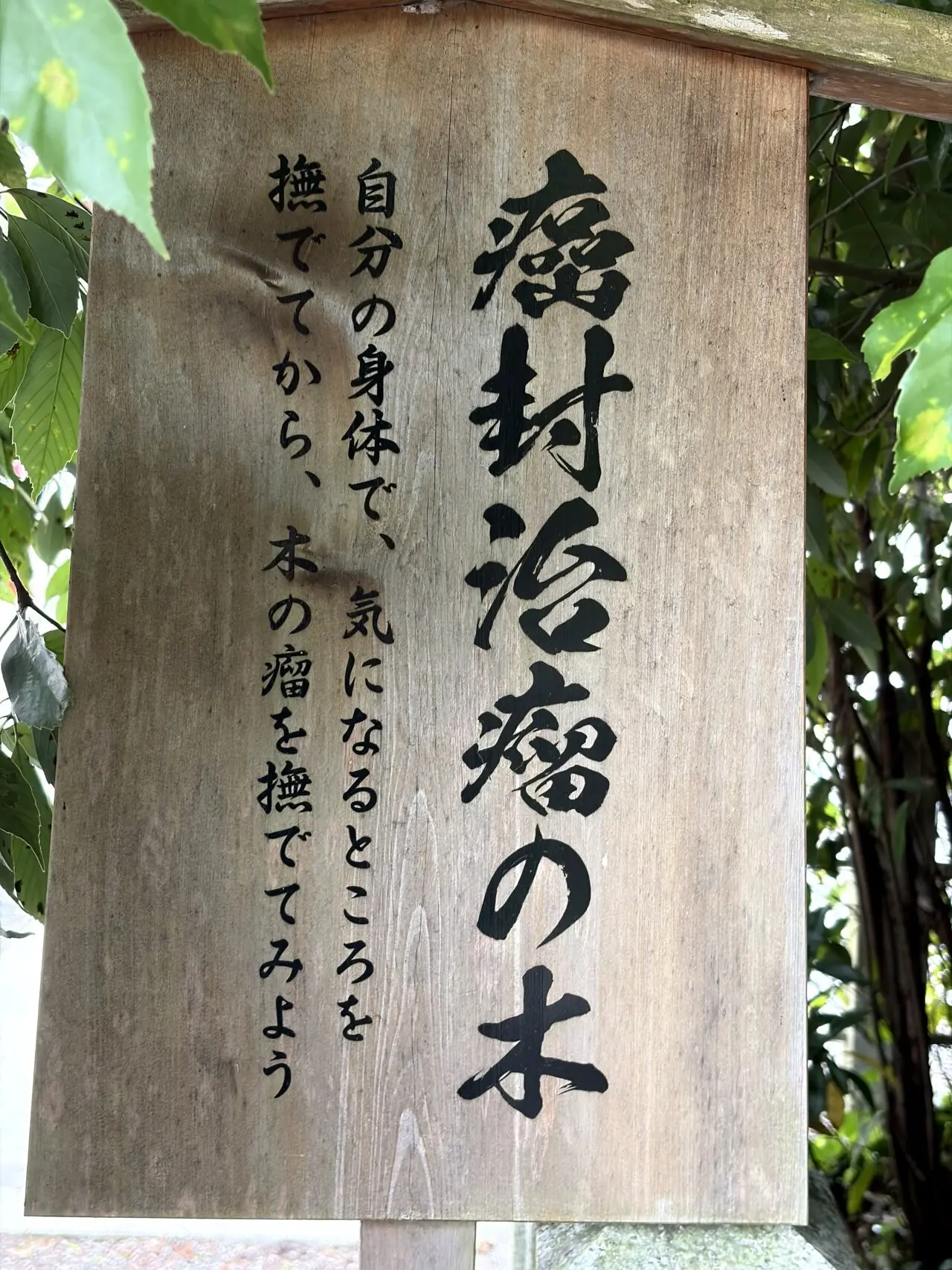 稗田野神社のメニュー3