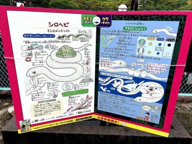 白蛇観覧施設周辺の案内ボード
