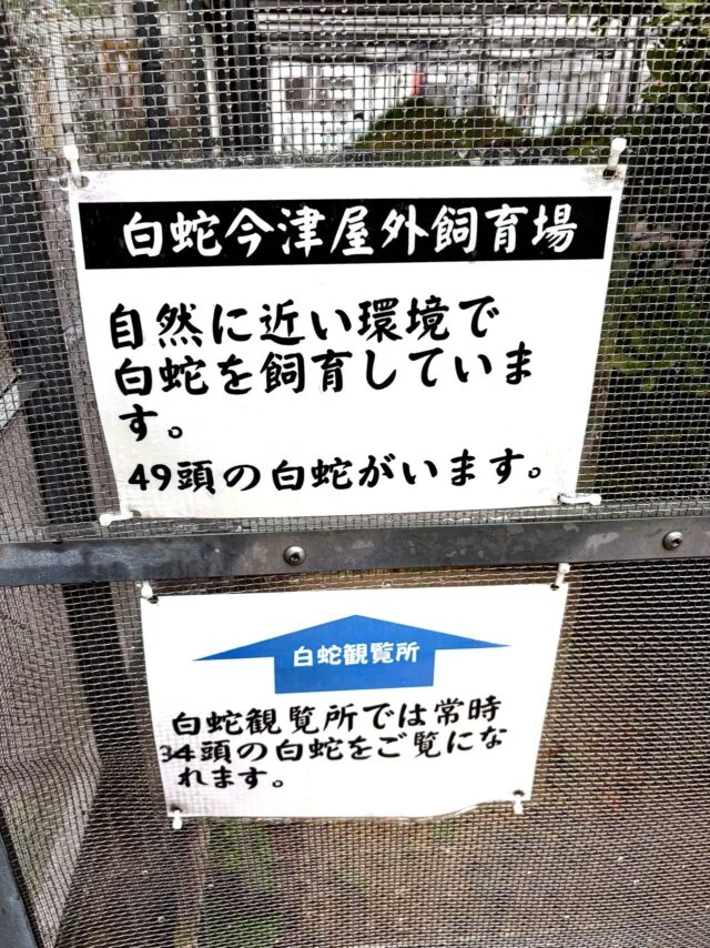 白蛇に関する案内板