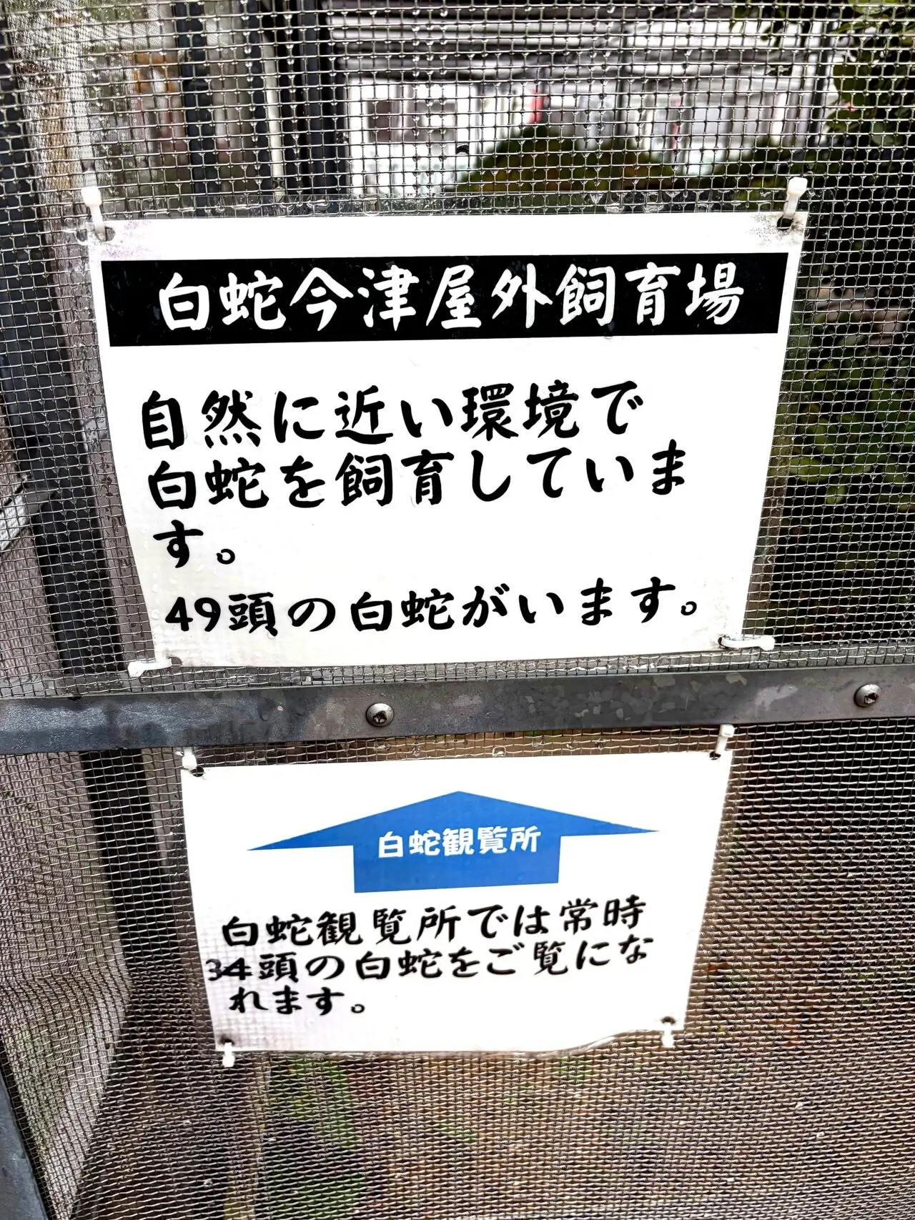 白蛇に関する案内板