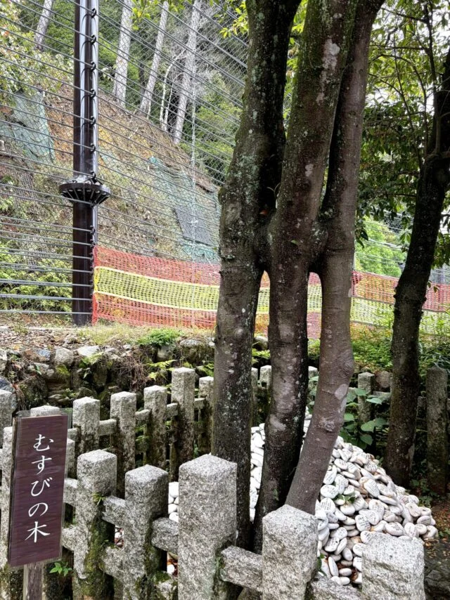 京都 月読神社のその他6