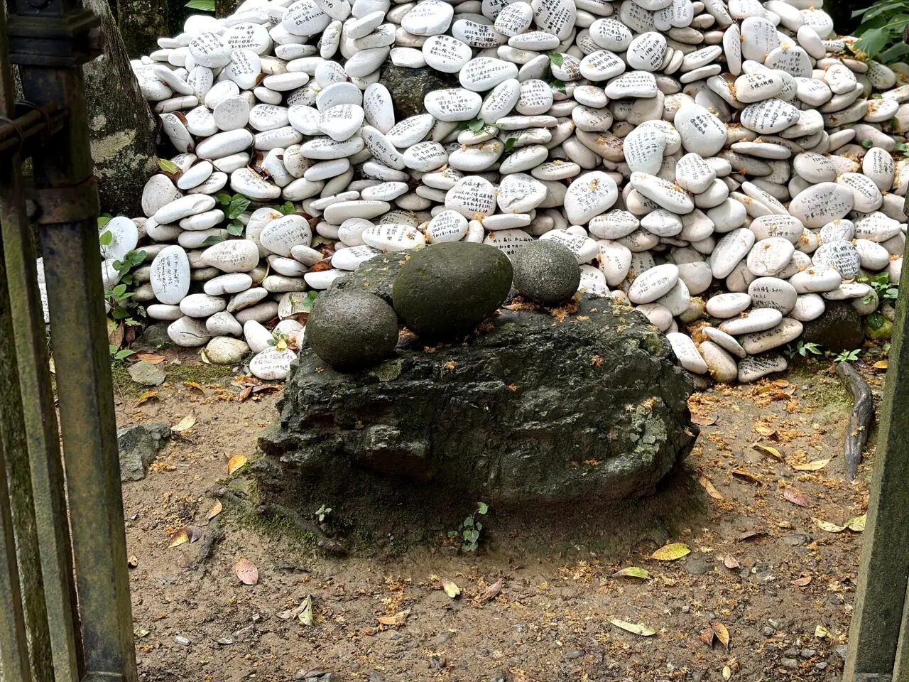 京都 月読神社のその他8