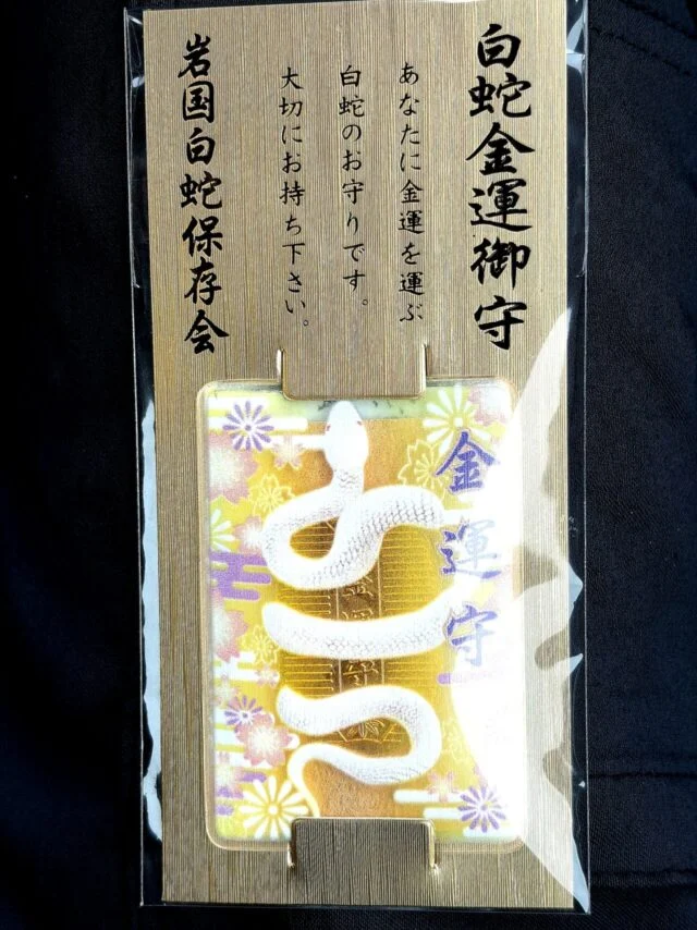 白蛇金運のお守り展示