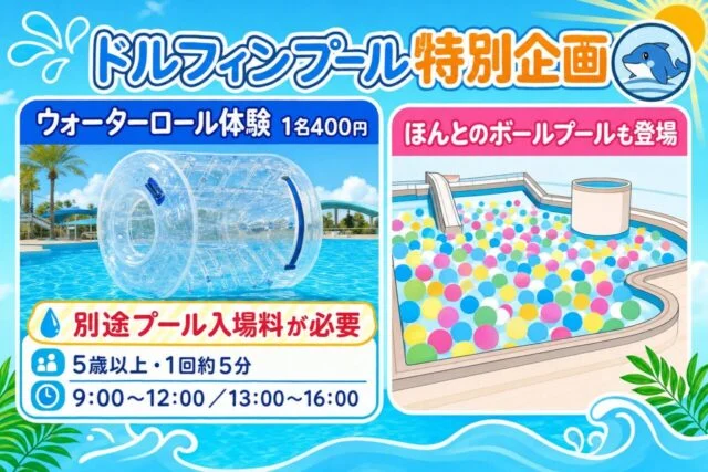 ドルフィンプール特別企画。ウォーターロールは1名400円で別途プール入場料が必要。5歳以上、9時から12時と13時から16時