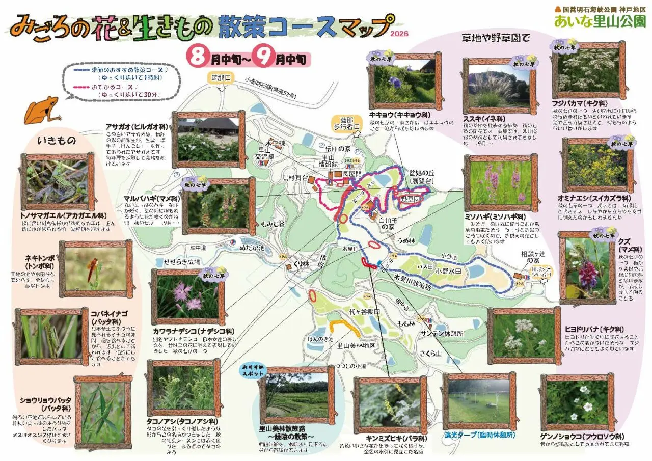 あいな里山公園公式の8月中旬から9月中旬のみごろ・散策マップ。現在の園内散策情報を案内する。