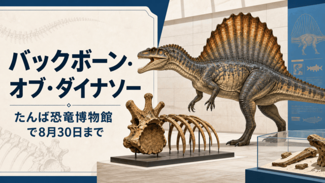 スピノサウルスと化石展示を描いたHarimap制作のオリジナルイラスト。実在の博物館内や公式ロゴを再現した写真ではありません。