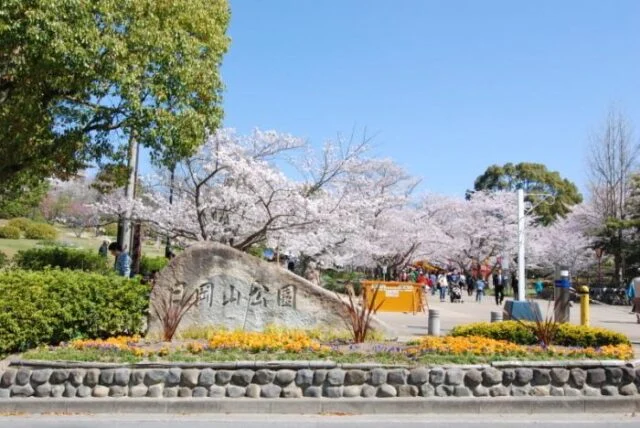 日岡山公園の石の銘板と花壇、桜が続く入口付近の園路。撮影日未確認。
