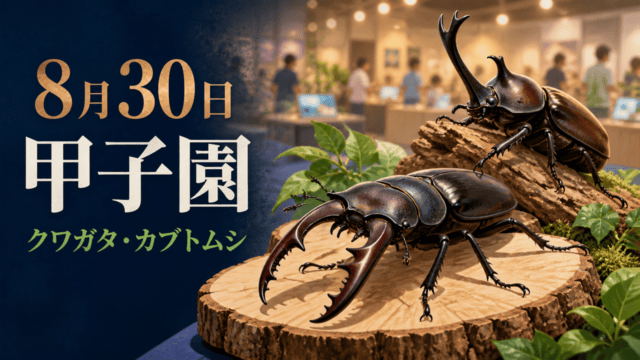 甲子園で開催される昆虫イベントを案内するHarimap制作イメージ