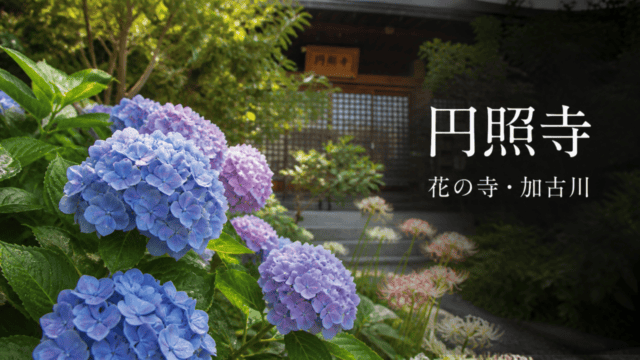 月輪山円照寺のあじさい｜加古川市の見頃・駐車場・花の寺を表す比較イラスト