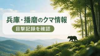 兵庫・播磨近隣のクマ目撃情報｜上郡町・赤穂市・宝塚市など95件を表す比較イラスト