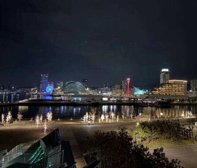 TOTTEI PARKから望む神戸港の夜景。海の向こうに観覧車と神戸ポートタワーが見える