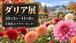 ダリア展の開催期間と兵庫県立フラワーセンターを示す生成イラスト。実際の開花・園内の写真ではない。