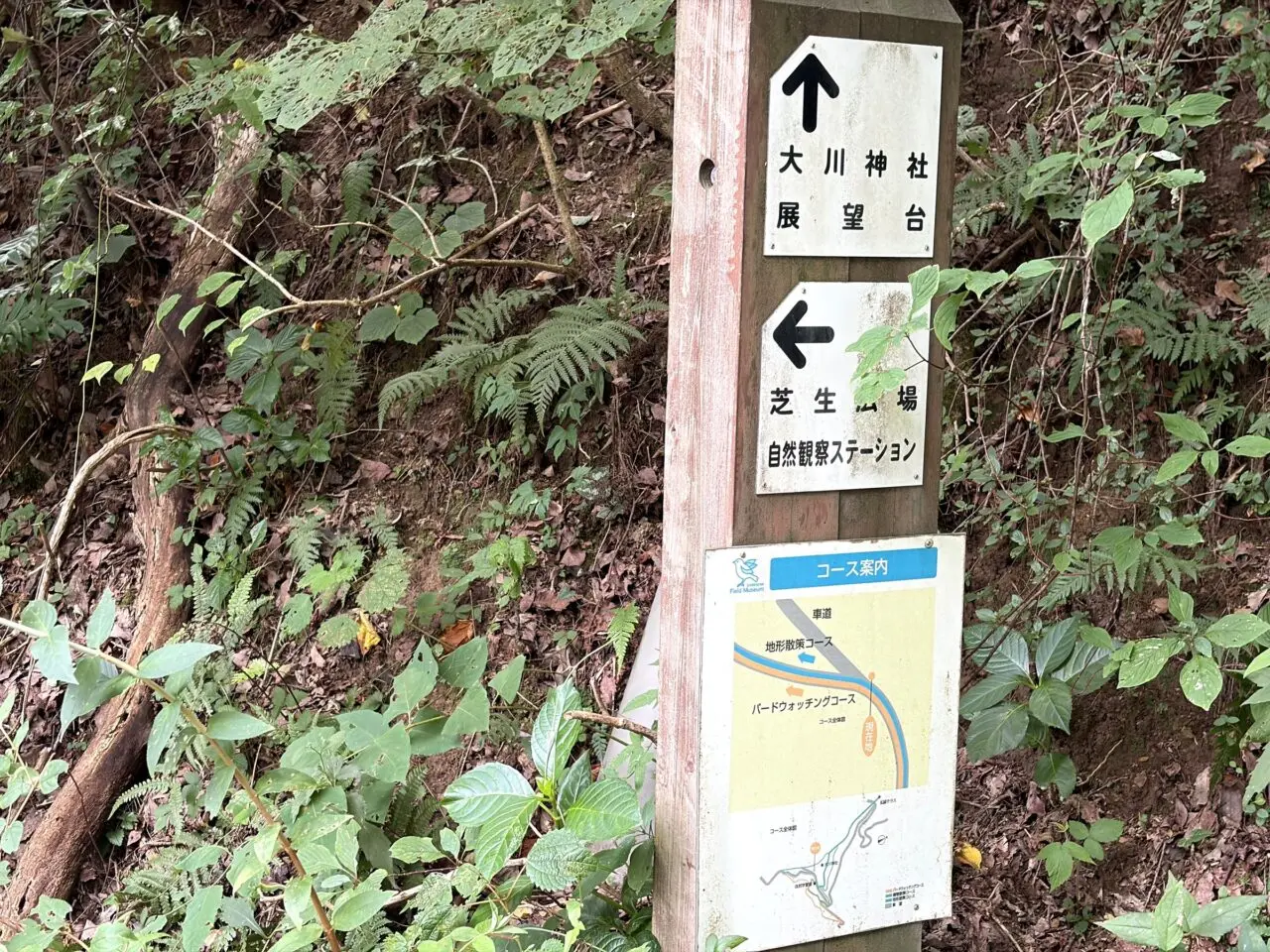 大川山周辺の道標