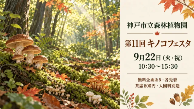 神戸市立森林植物園のキノコフェスタをイメージしたイラスト。第11回、9月22日（火・祝）、10:30～15:30。無料企画は各先着で、茶席800円、入園料別途。
