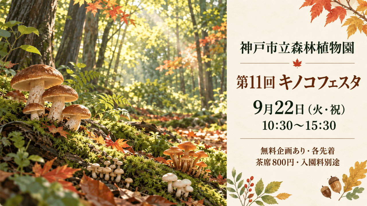 神戸市立森林植物園のキノコフェスタをイメージしたイラスト。第11回、9月22日（火・祝）、10:30～15:30。無料企画は各先着で、茶席800円、入園料別途。