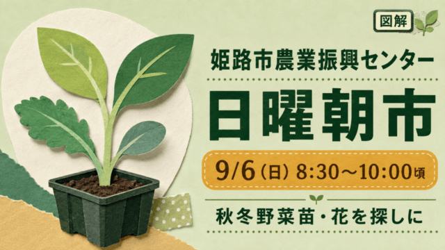 図解：姫路市農業振興センター日曜朝市、9月6日8時30分〜10時頃。秋冬野菜苗・花を探しに