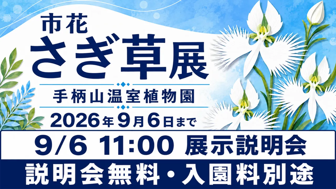 市花さぎ草展、手柄山温室植物園、2026年9月6日まで、9月6日11時展示説明会、説明会無料・入園料別途