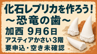 化石レプリカを作ろう！〜恐竜の歯〜 加西9月6日 アスティアかさい3階 要申込・空き未確認