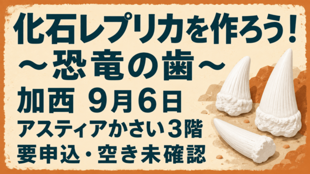 化石レプリカを作ろう！〜恐竜の歯〜 加西9月6日 アスティアかさい3階 要申込・空き未確認