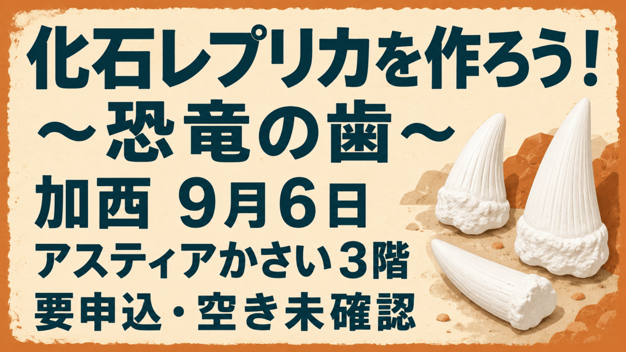 化石レプリカを作ろう！〜恐竜の歯〜 加西9月6日 アスティアかさい3階 要申込・空き未確認