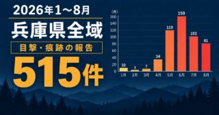 兵庫県全域の2026年1〜8月におけるクマ目撃・痕跡報告515件と、月別件数を示すグラフ。最多は6月の159件。