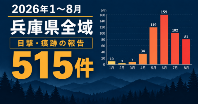 兵庫県全域の2026年1〜8月におけるクマ目撃・痕跡報告515件と、月別件数を示すグラフ。最多は6月の159件。