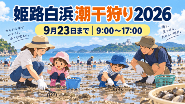 姫路白浜潮干狩り2026の海辺の潮干狩り風景、9月23日まで・9時から17時まで