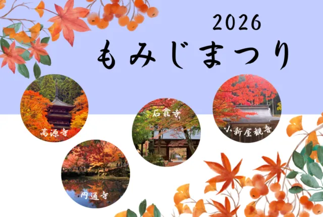 丹波市観光協会「もみじまつり in2026」の公式チラシ