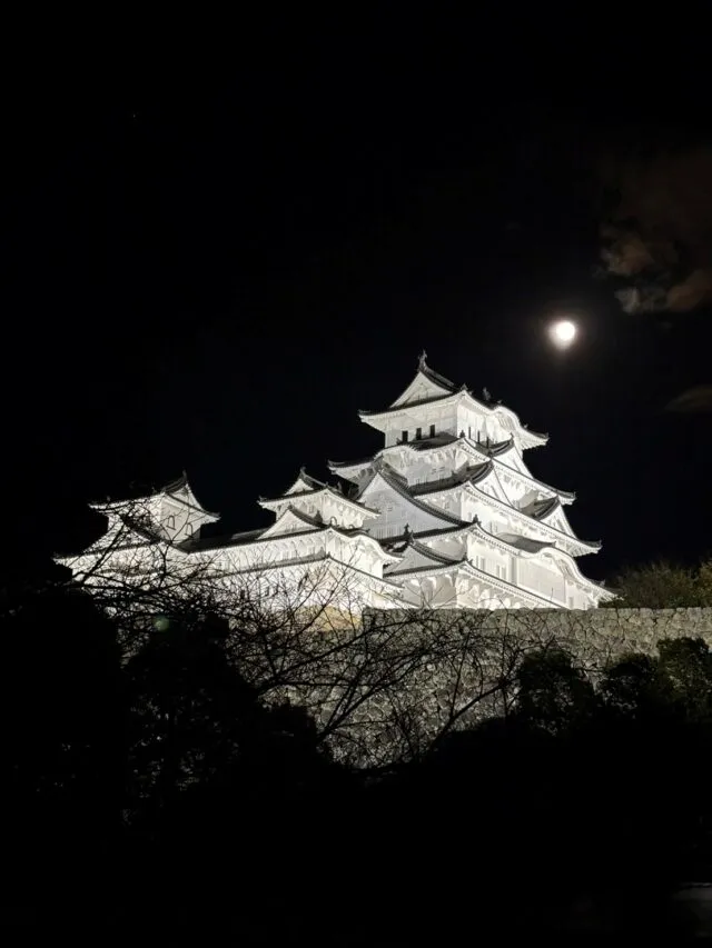 夜空を背景にライトアップされた姫路城の白い大天守