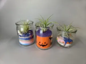 透明なガラスびんに色砂を重ね、細い葉の植物を飾ったカラーサンドテラリウムの公式作例