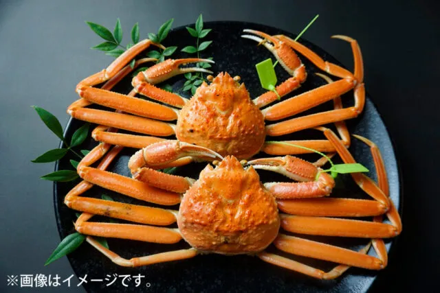 主催者の茹で松葉がにの商品写真。イベント当日の大きさや杯数を示すものではありません。