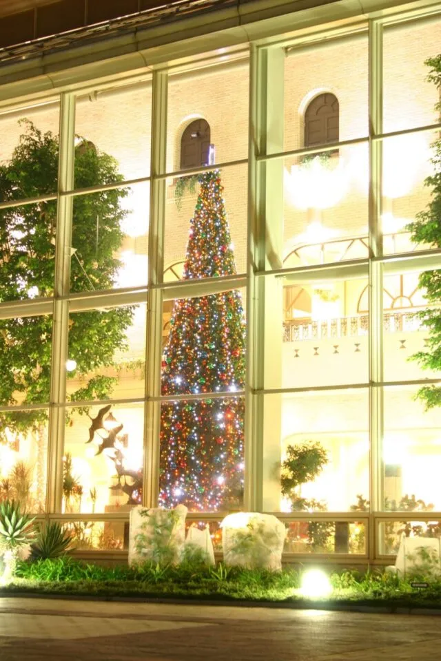 淡路ハイウェイオアシス オアシス館のクリスマスツリー（外から見た夜の様子）