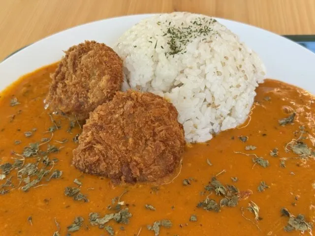 カレーの具材と盛り付けのアップ
