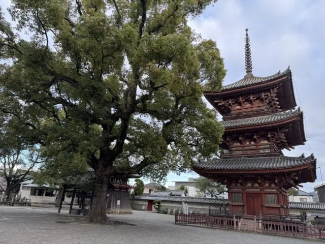三重塔の近景。軒の重なりと木組。