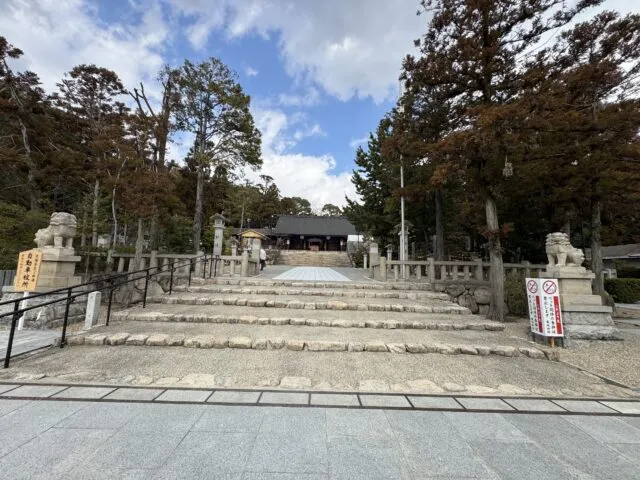 石段と参道を広く捉えた景観（2025年2月17日撮影）