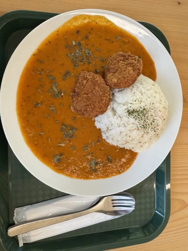 カレーと揚げ物を盛り付けた皿の全体