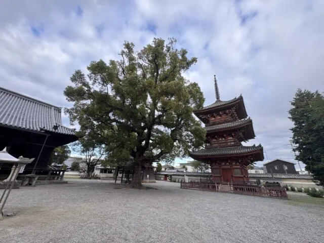 大木と三重塔の全景。奥には赤い鐘楼。