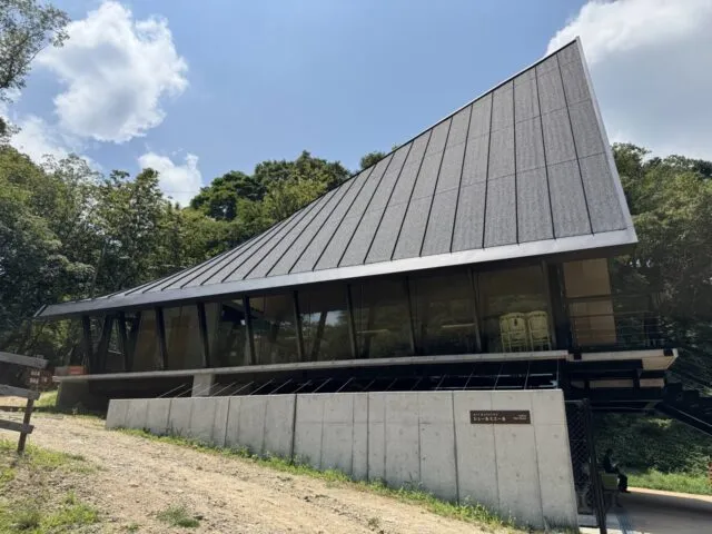シェールミエールの屋根と看板