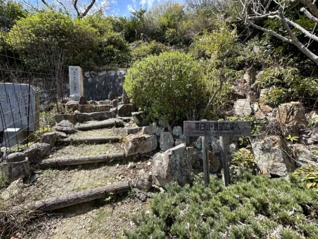 茶臼山・展望広場へ向かう石段の分岐