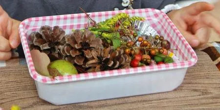 施設の活動写真に写る、木の実や葉を詰めた弁当箱の部分。食べ物ではなく遊びの作品