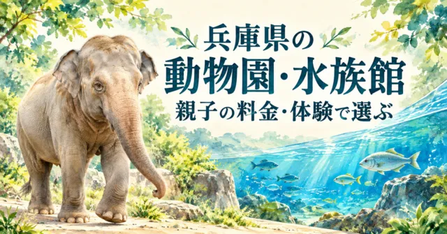 兵庫県の動物園・水族館ガイド。ゾウと水槽の実写真をモチーフにしたイラスト。親子の料金・体験で行き先を選ぶ。